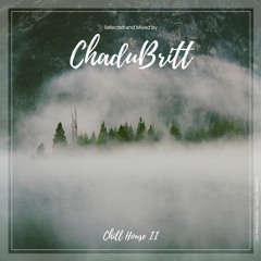 Chill House 2 - Organic House