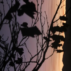 Tuesdays prod. tommy760