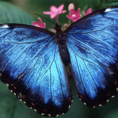 LET'S GO! (INTRO) [PRODUCED BY JODY]