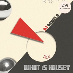 Dj Daniel D - What Is House (294 Records)