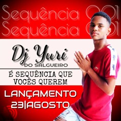 SEQUENCIA 001 - DJ YURI DO SALGUEIRO