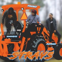 Strays (Feat. JustKues & Tommy Gvts)