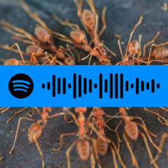 28 (Jack Kays Cover)