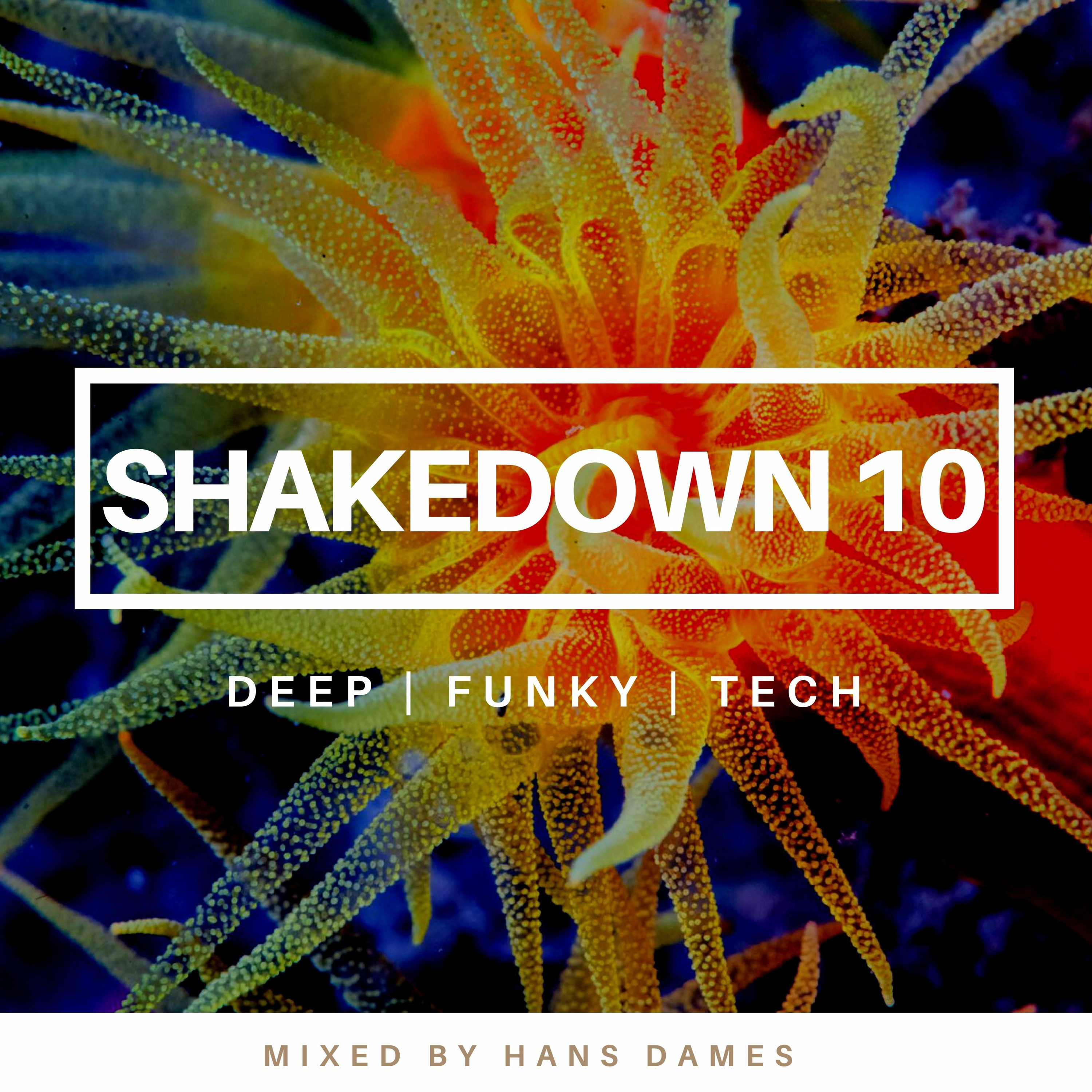 SHAKEDOWN 2022 #10 - mixed by Hans Dames episode artwork