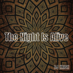 The Night Is Alive - DJ KRISH