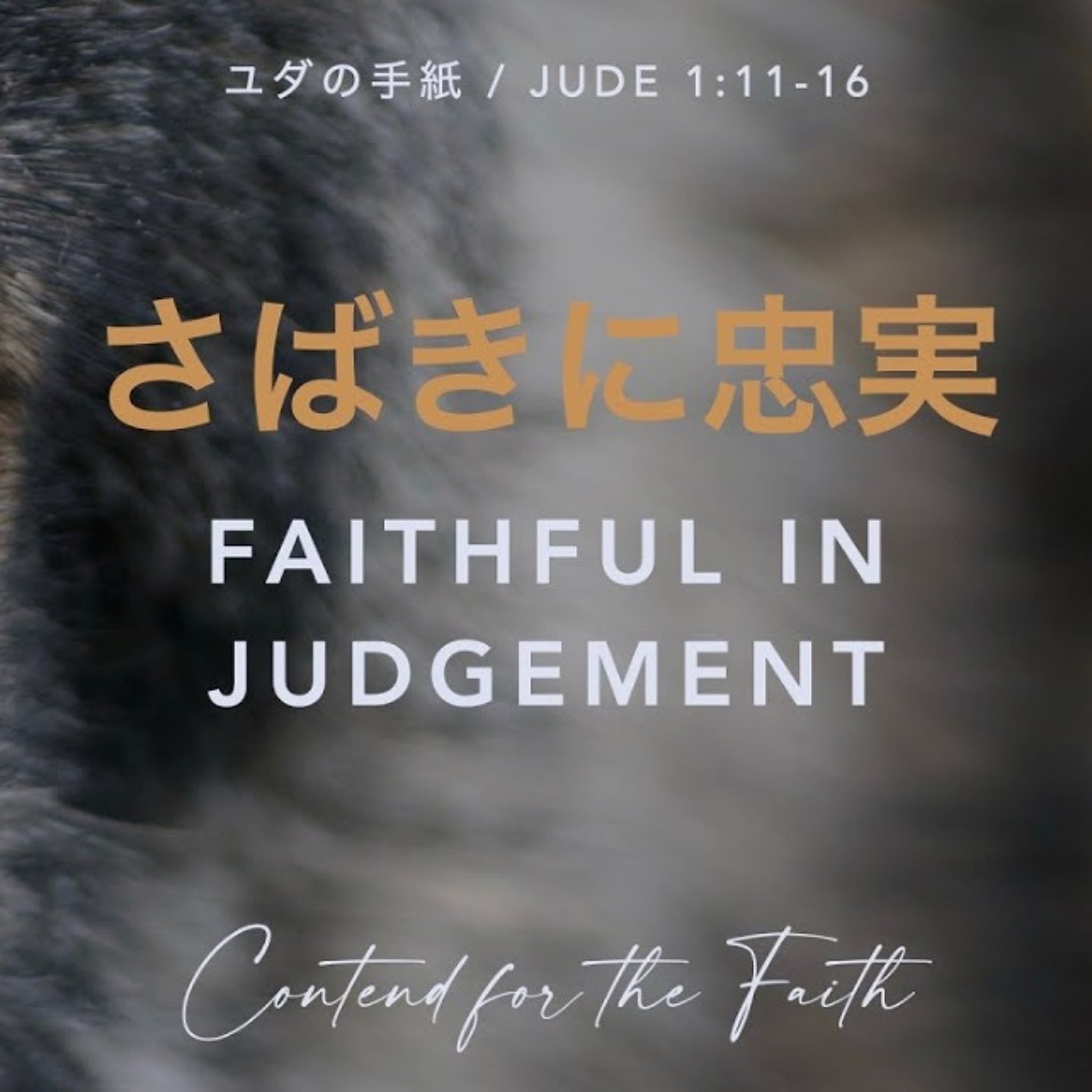 ユダの手紙 / Jude 1:11-16 さばきに忠実 Faithful in Judgement