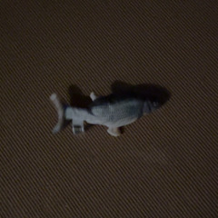 o o o (demo +doente)