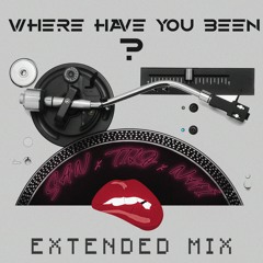 V-Bass ● Where Have You Been - San x Tilo x Nhí (Extended Mix)