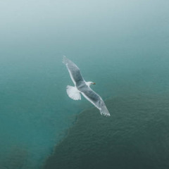 Elysium (remastered)