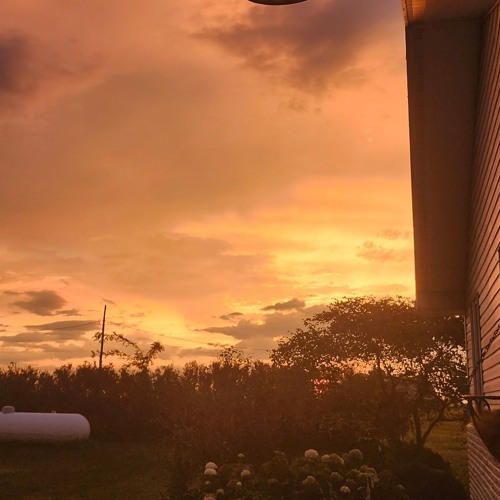 Sunny day ( demo) ( sorry it's bad )