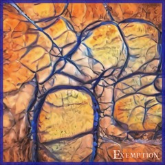 Exemption