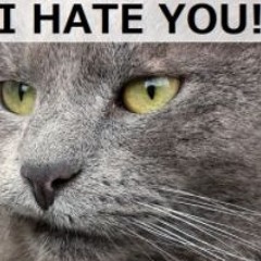 cool stuff II: the reckoning