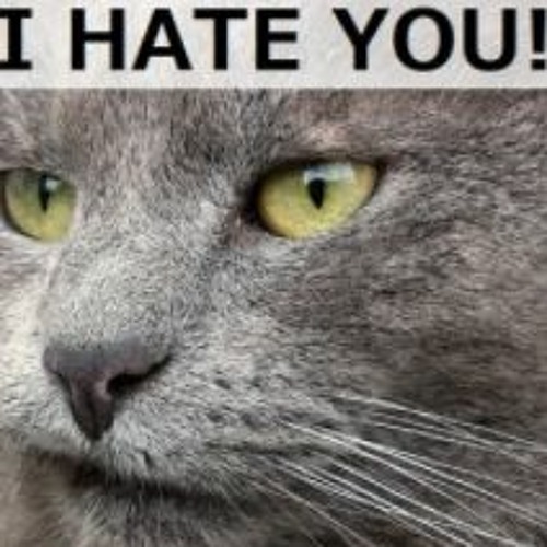 cool stuff II: the reckoning