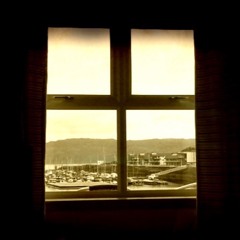 Window 2004