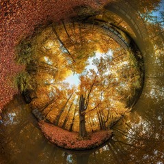 The Planet Tree (Remix 2026)