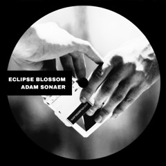Eclipse Blossom