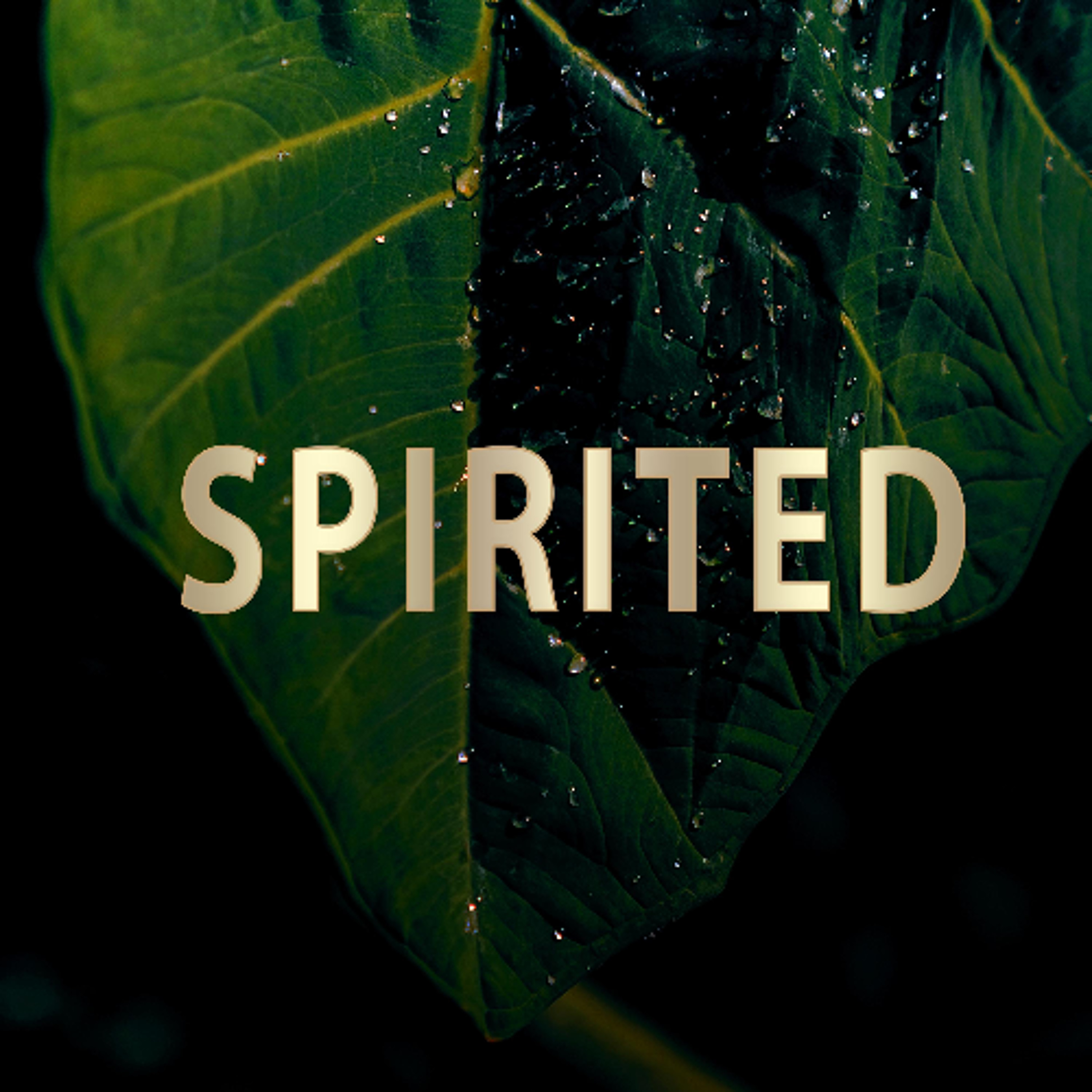 Spirited episode artwork