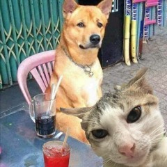 Nonstop ( BẢN ĐẶC BIỆT ) ĐỘC CÔ CỬU KIẾM