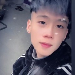 CHẲNG GÌ ĐẸP ĐẼ TRÊN ĐỜI MÃI ! NVL#2007