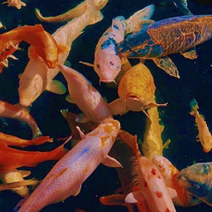 tbh ily (Kidswaste Remix)