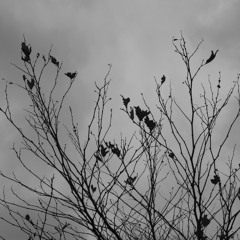 gelin ayşe - tülay german cover