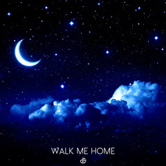 Said The Sky, Illenium, Chelsea Cutler - Walk Me Home (Blanke Remix) (Daniel Salaghi Edit)