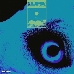 lupa - Darkness