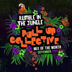 PULL UP COLLECTIVE - MIX OF THE MONTH