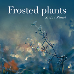 Frosted Plants (For Meditation, Relaxation and Sleep)