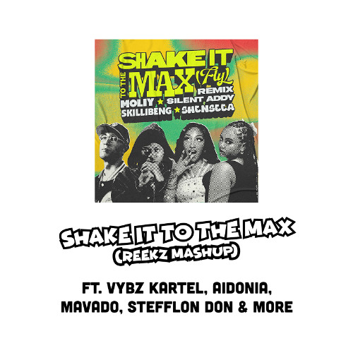 SHAKE IT TO THE MAX [Reekz Mashup] ft. Vybz Kartel, Stefflon Don, Aidonia & More