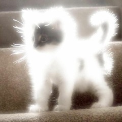 Teebs - Some MIX '21 (pt. 2)