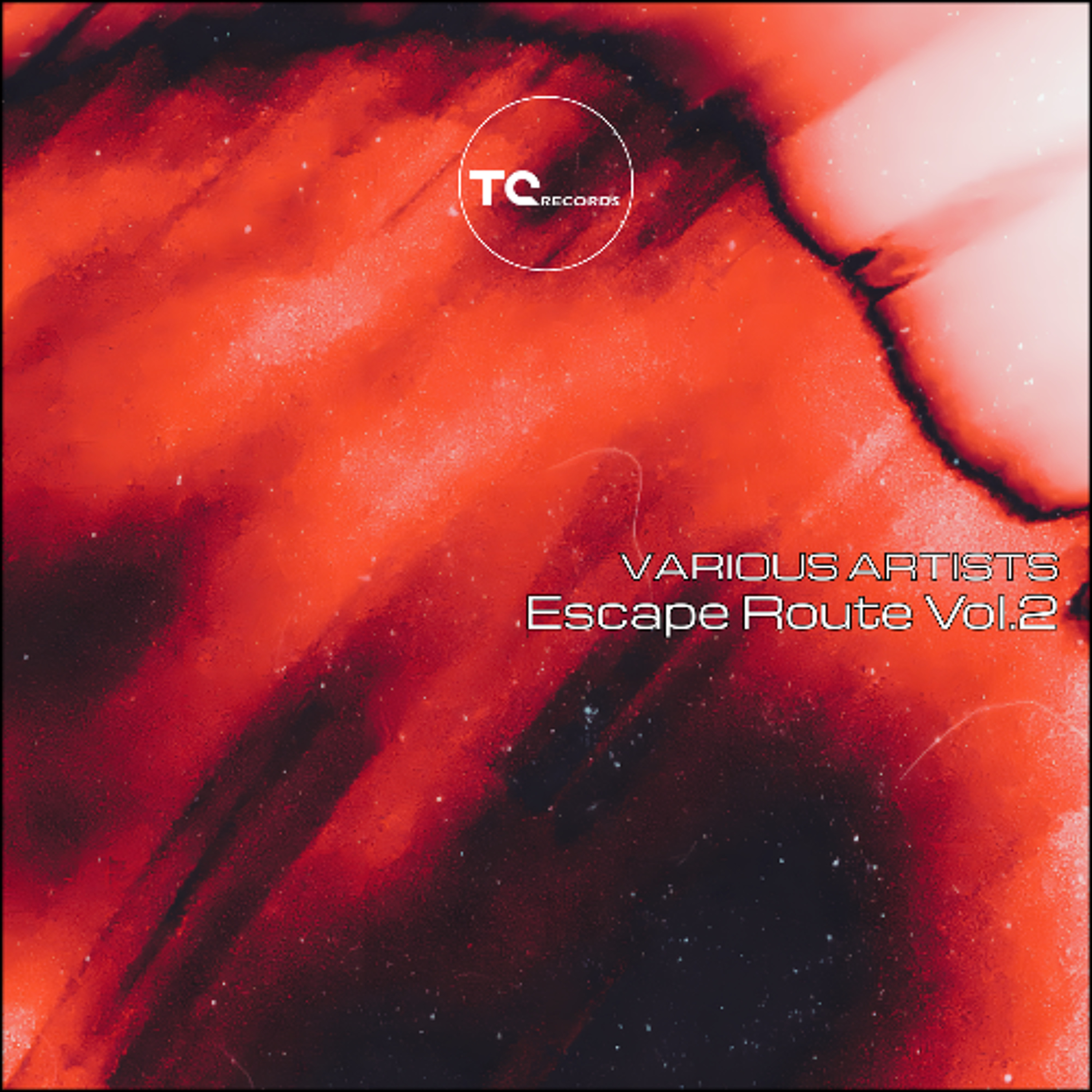 PREMIERE: MASCHA - Nachtvogel  [TC Records]