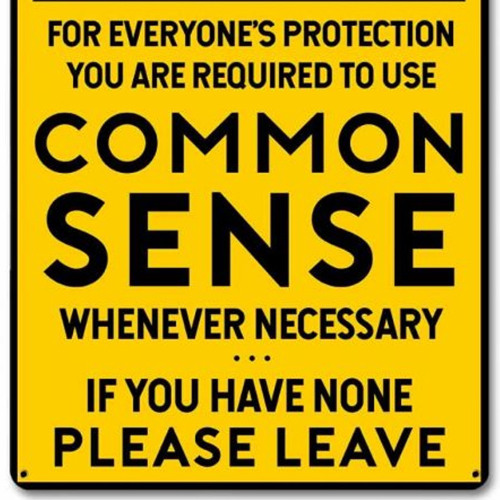 Common Sense