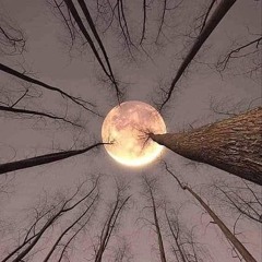 Mikey Cee Spring Equinox Mix March 20th 2025 Uk Bounce.WAV