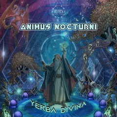 Yerba Divina - Probe The Eternity