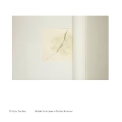Hideki Umezawa + Shohei Amimori - Critical Garden (excerpt)