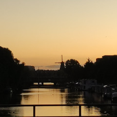 Lessons in Gratitude