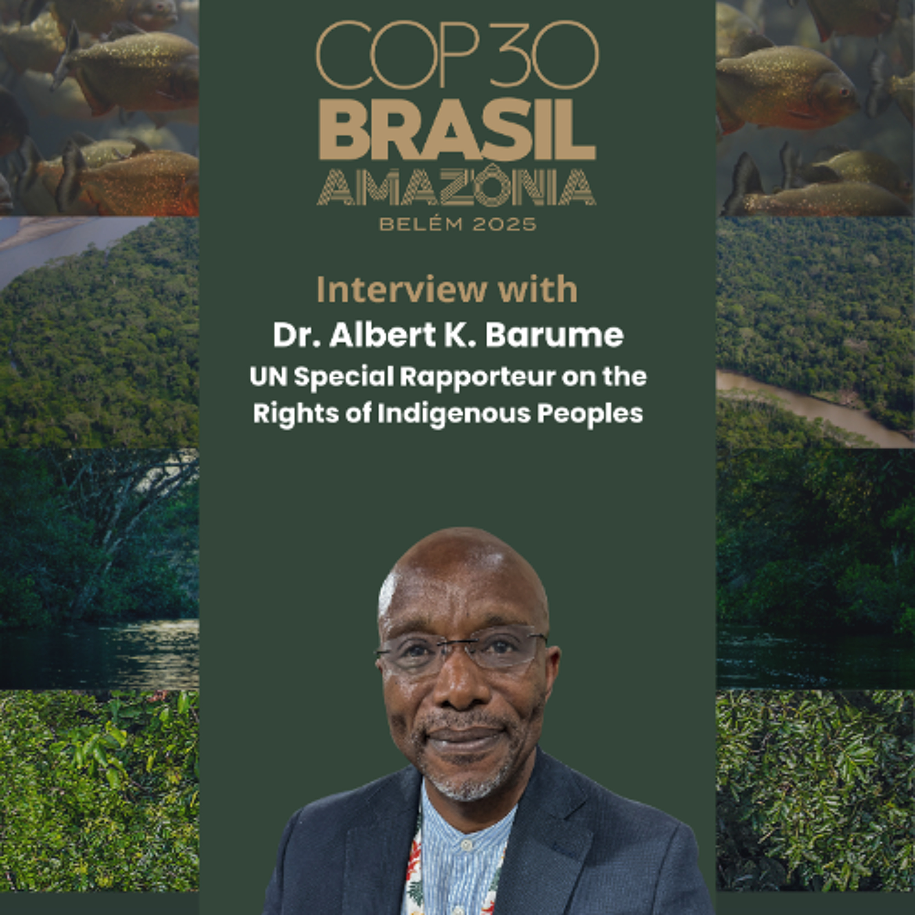 COP30 - Dr. Albert K. Barume - UN Special Rapporteur on the Rights of Indigenous Peoples