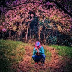 yung bossa - let me go 😇🧚‍♀️ (prod. 0b4lifee x bismarx)