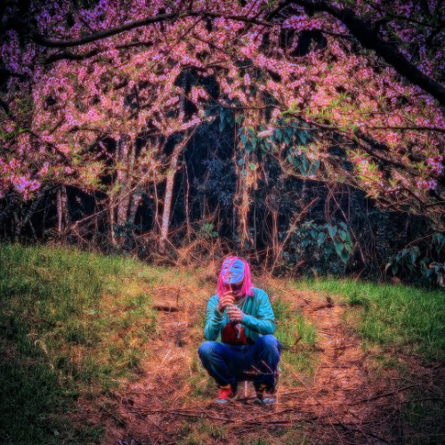 yung bossa - let go 😇🧚‍♀️ (prod. 0b4lifee x bismarx)