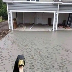 Hallucinations ft. $𝔢𝔤𝔞 死 お金 愛 & $MVDGY 『prod. saint urya』