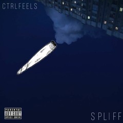 CtrlFeels - Spliff [prod. by John Doe]