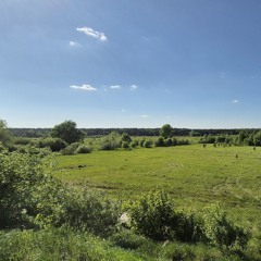 Nocturne of ice - Stardew Valley