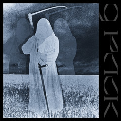 QPACK With RoachLeandoer & Sawwii