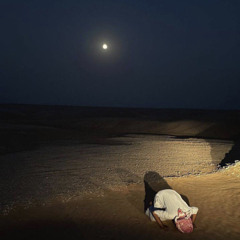 ‎⁨‏﴿‎فَلَا يَحْزُنْكَ قَوْلُهُمْ﴾⁩