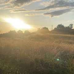 DRave - Dernière Danse