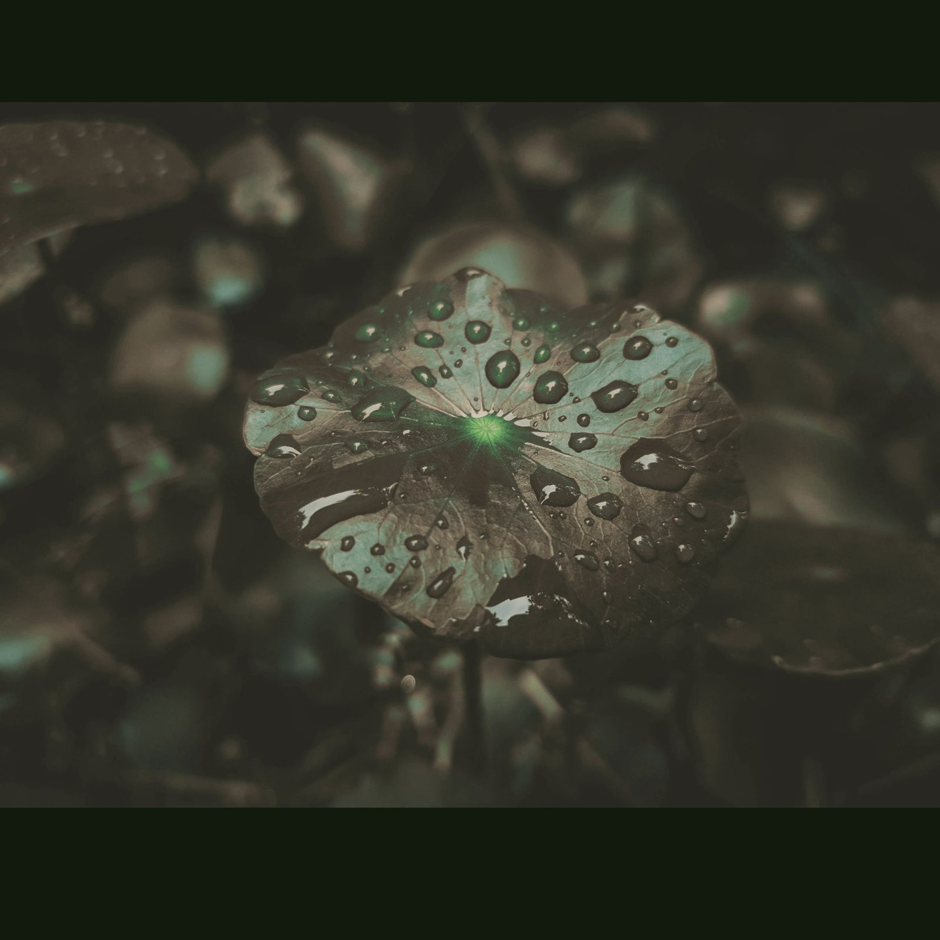 JADED | prod. ReggieRobOnIt episode artwork