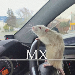 Today was a mice day
