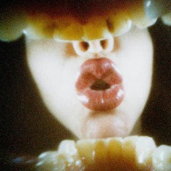 DON’T BITE