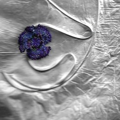 B LA B - ISSA ROBBERY(ANGIE B✪✪TLEGG)